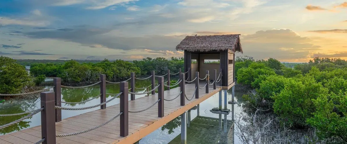 الجزيرة الأرجوانية في قطر: استكشف هذه الجوهرة الطبيعية لتجربة مثالية