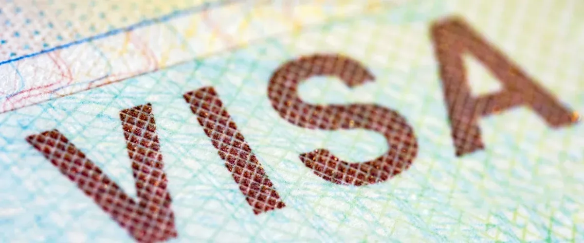 How to Easily Check Your Qatar Visa