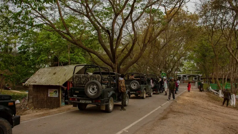 Kaziranga National Park