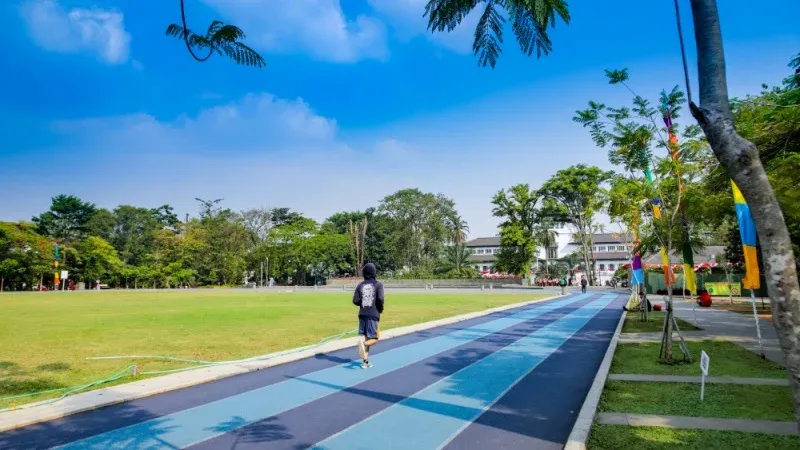 مسارات المشي والركض