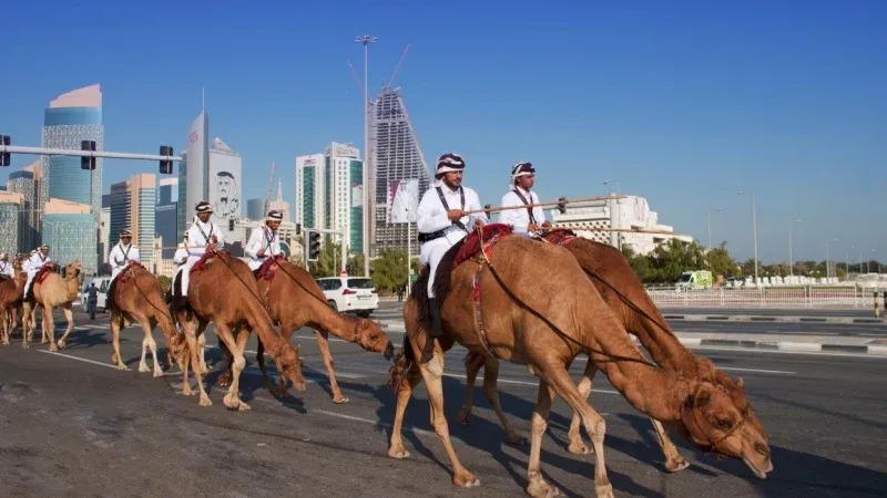 Darb Al Saai Umm Salal Highlight: Qatar National Day Celebrations