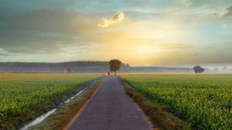 Why is Vasant Panchami Celebrated?