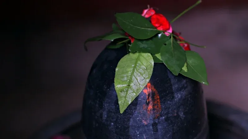 Rituals and Worship Practices of Maha Shivaratri