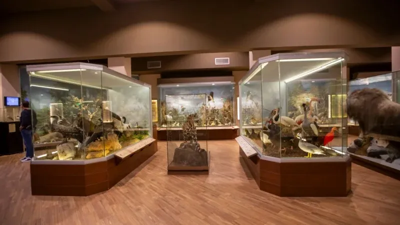 Goulandris Museum of Natural History