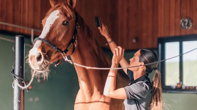 10th International Forum for the Aftercare of Racehorses (IFAR)