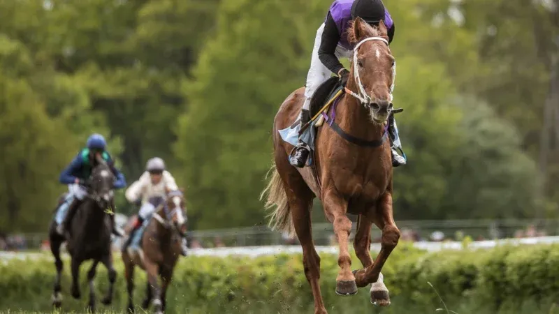 The Saudi Cup Race Night