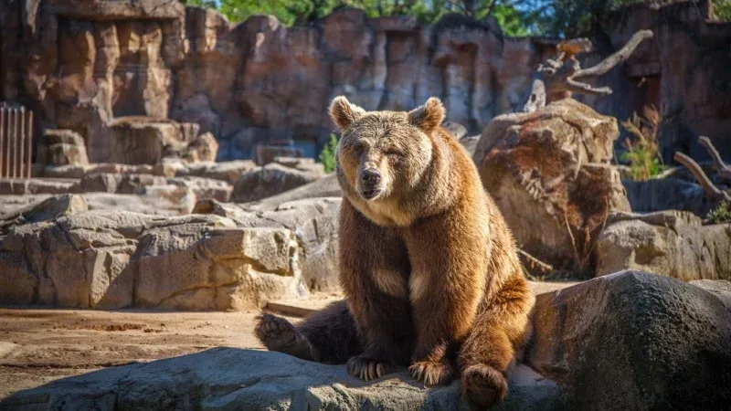 Zoo Aquarium de Madrid
