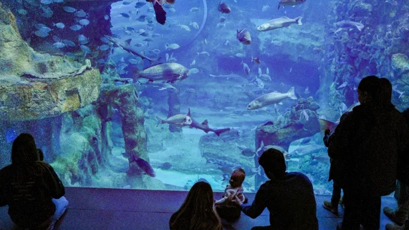 Atlantis Aquarium Madrid