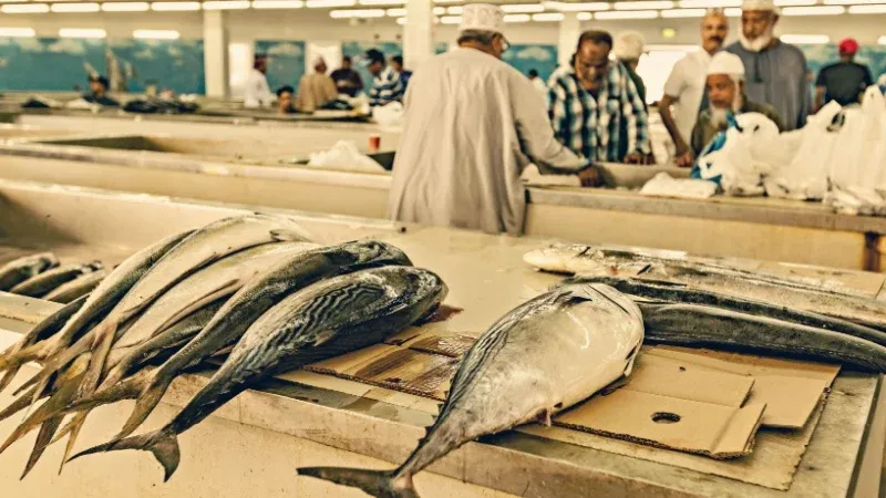 Experience the Bustle of the Sohar Fish Market