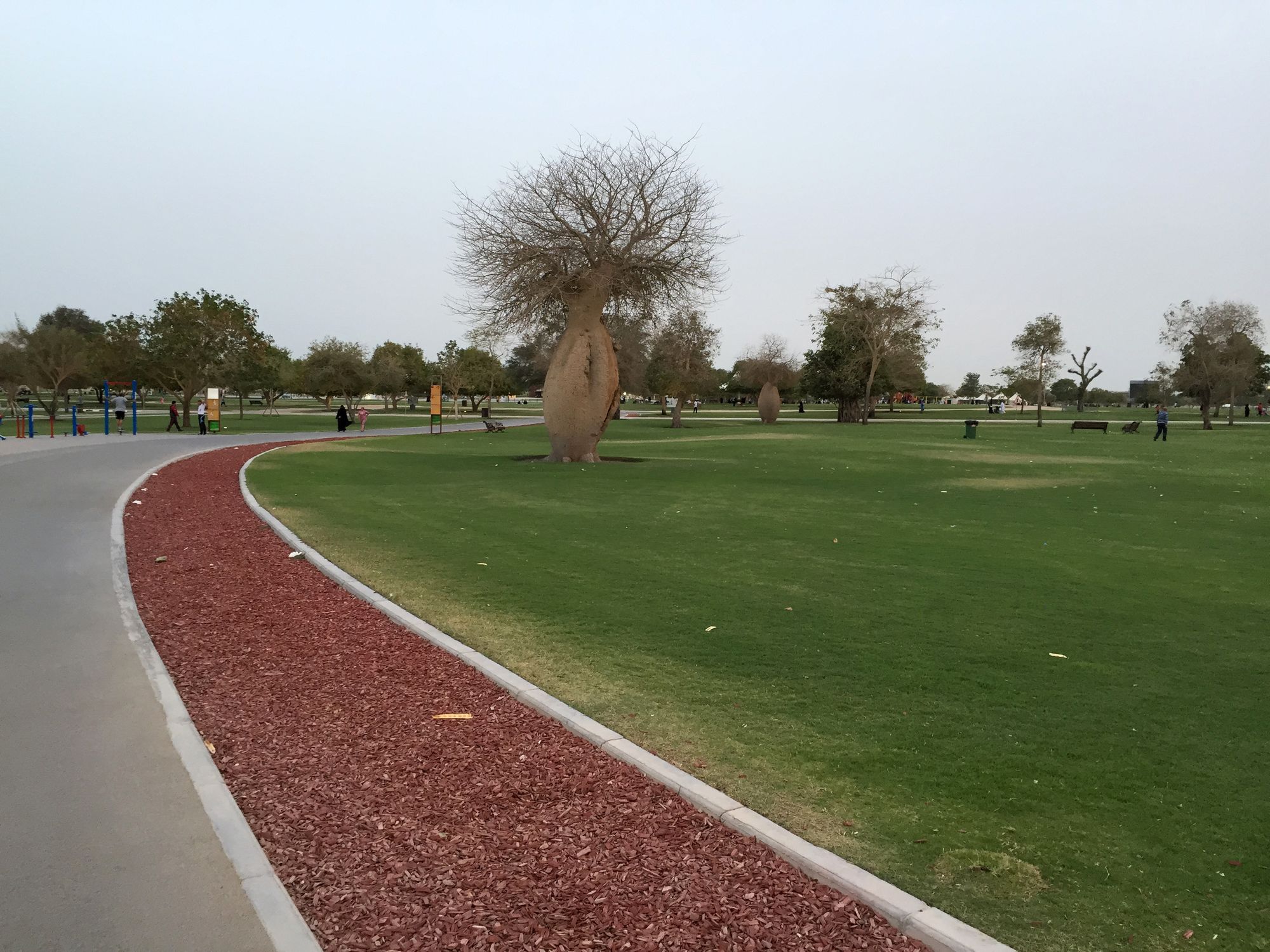 Aspire Park in Doha (Places to visit in Doha)