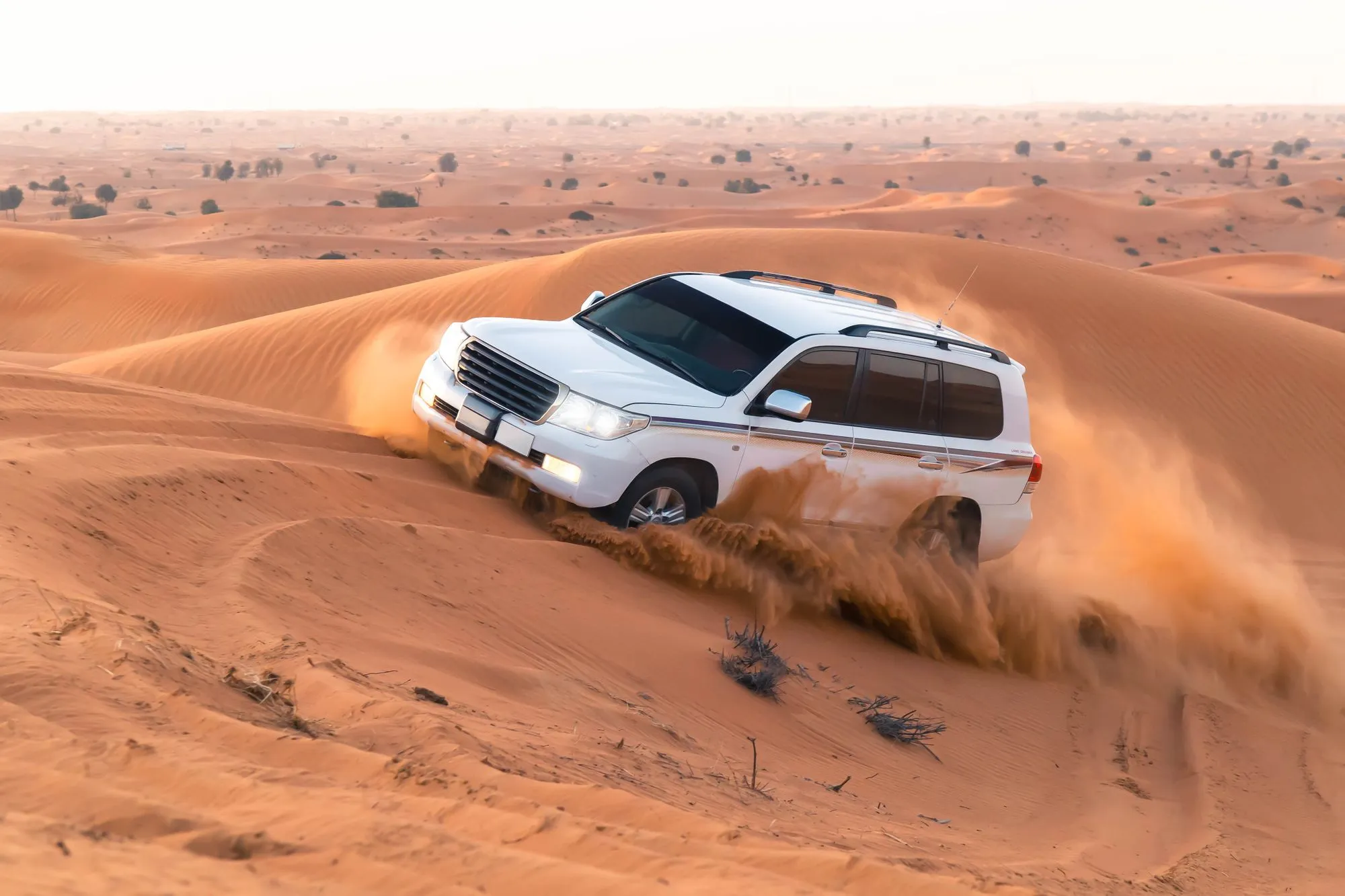 Dune Bashing in doha