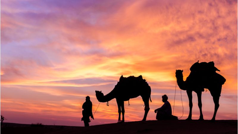 qatar adventure desert safari