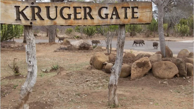 Kruger National Park, an ultimate safari destination