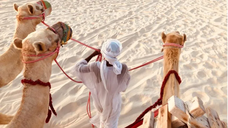 Desert Experience In Qatar