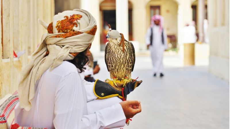 Age-Old Sport Of Falconry