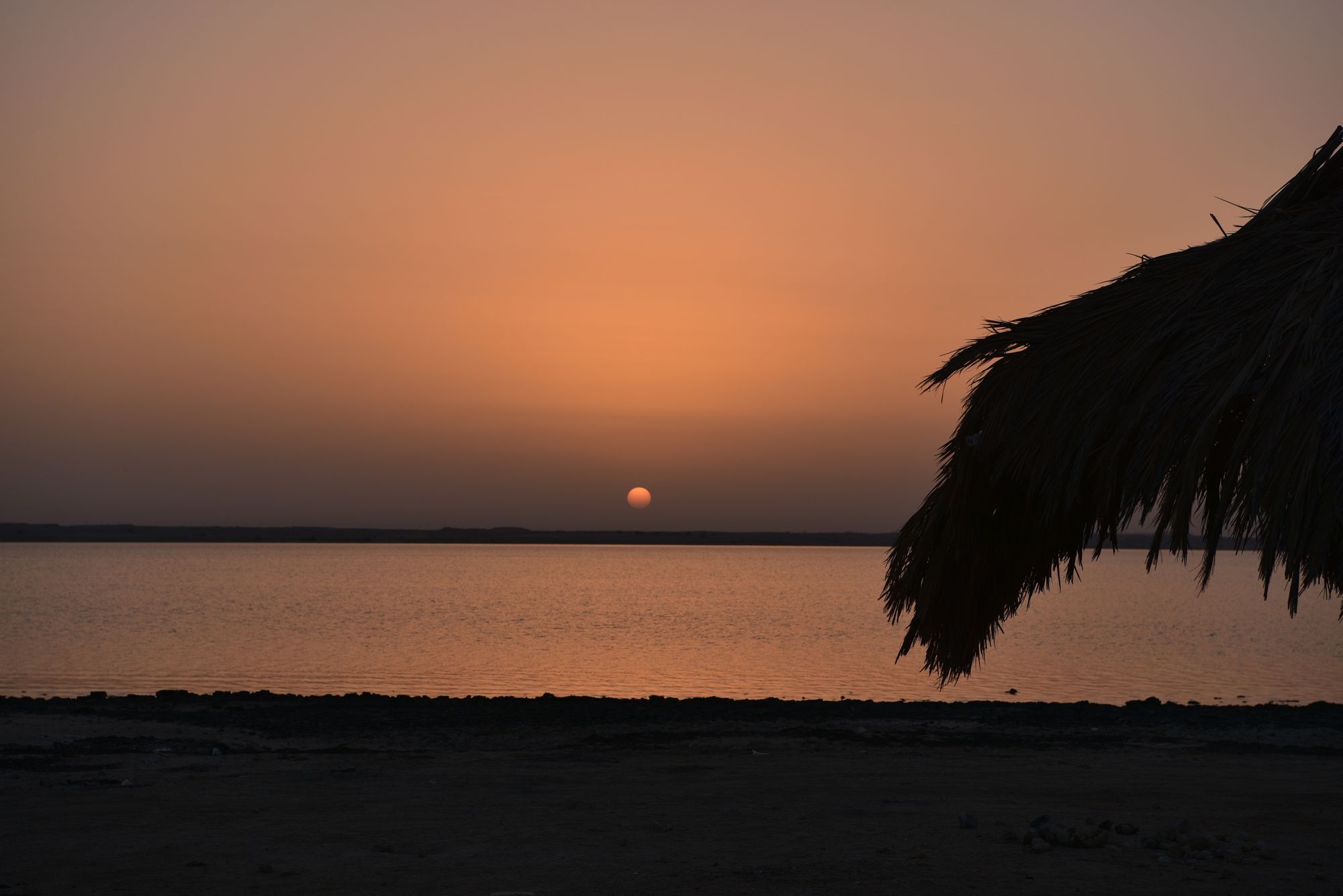 Zekreet Beach in Qatar