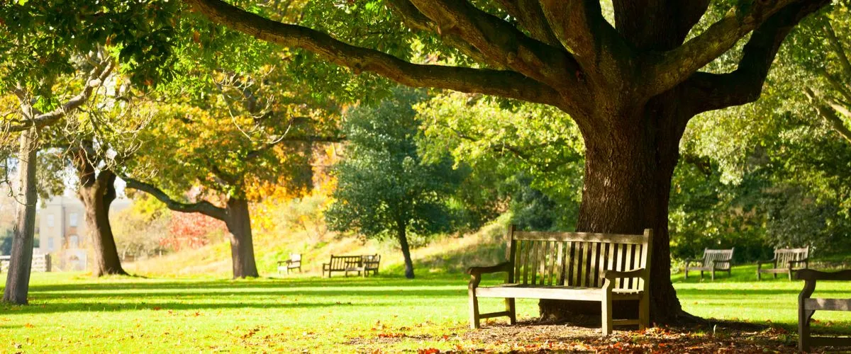 Al Gharaffa Family Park, Al Rayyan, Qatar: A Great Place To Enjoy, Relax & Breathe Fresh Air