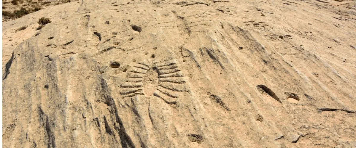 Al Jassasiya Petroglyphs Qatar: Discovering The Rock Carvings From The Past