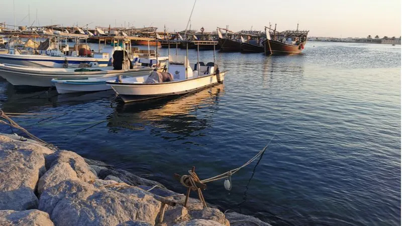 Enjoy Fishing At The Harbour