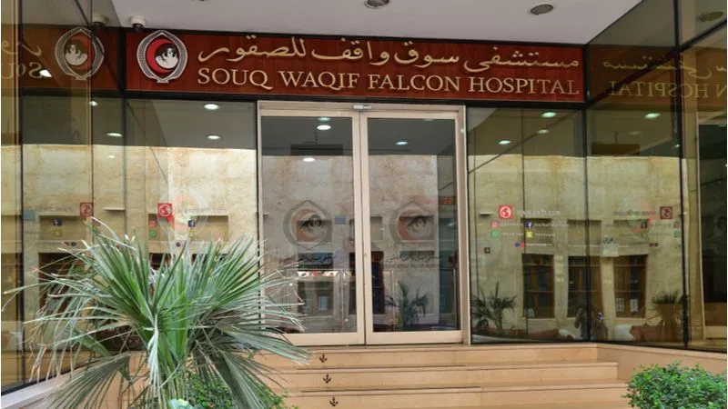 Falcon Souq Has A Falcon Hospital
