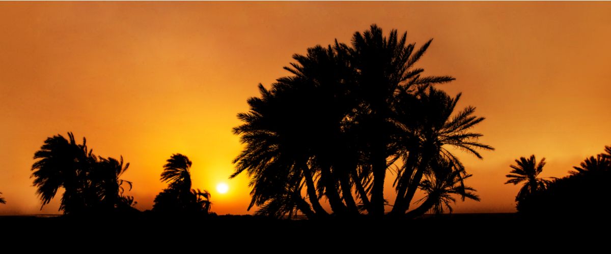 Umm Bab Beach Qatar