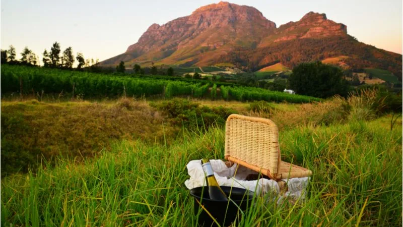 Cape Winelands- South Africa