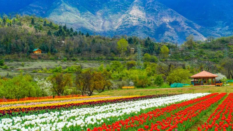 Kashmir - Places to visit in India in Summer