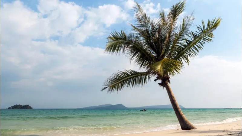 Lonely Beach