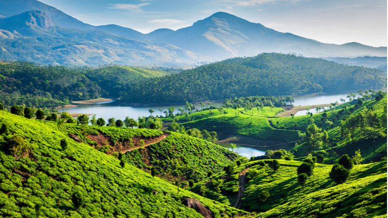 Munnar - Places to go in summer in India