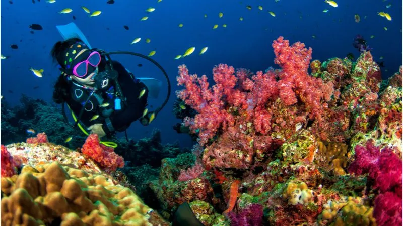 Padang Bai Beach- For Diving Experience