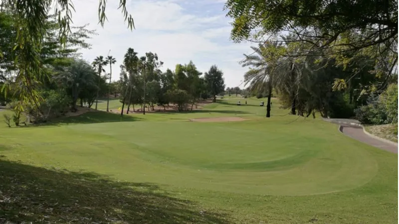 Explore the beauty and greenery of Jebel Ali 