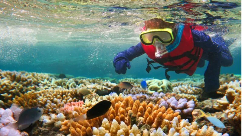 Great Barrier Reef- Australia