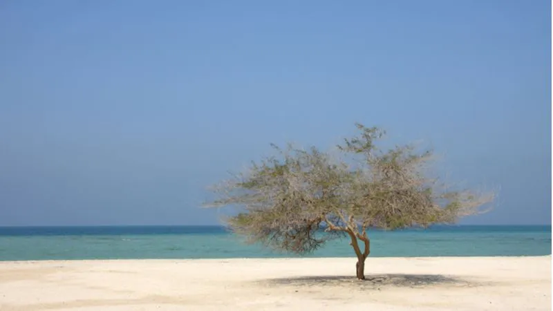 Jazair Beach, Bahrain