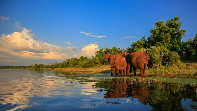 Kruger National Park- South Africa
