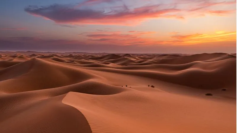 Liwa Desert, Rub Al Khali 