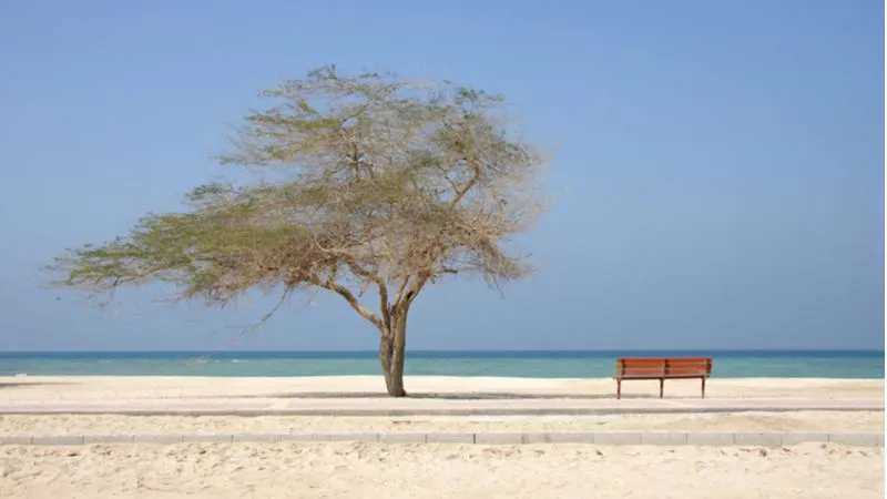 Malkiya Beach, Bahrain