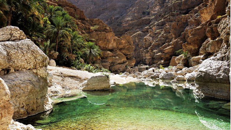 Relax & Rejuvenate At Wadi Shab