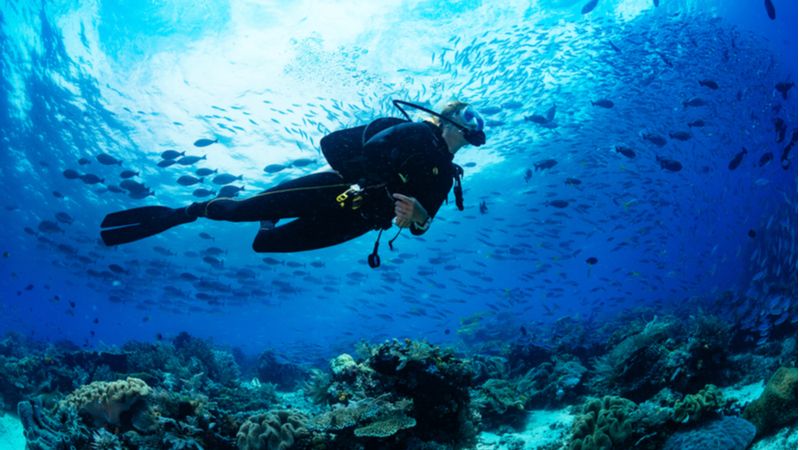 Scuba Diving For Some Thrilling Underwater Adventure