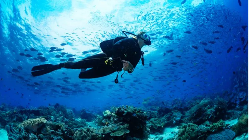 Scuba Diving For Some Thrilling Underwater Adventure