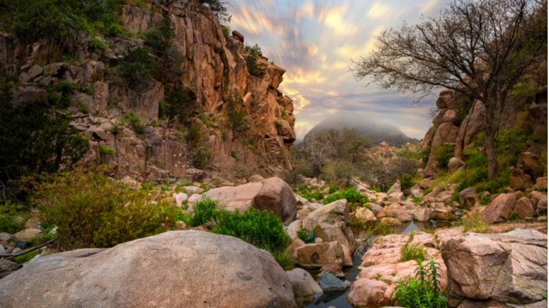 Taif - Places to visit in Saudi Arabia