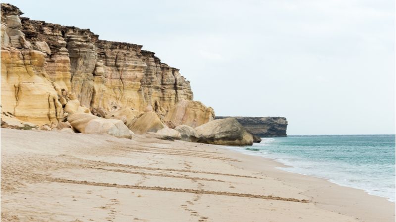 Turtle Beach, Oman