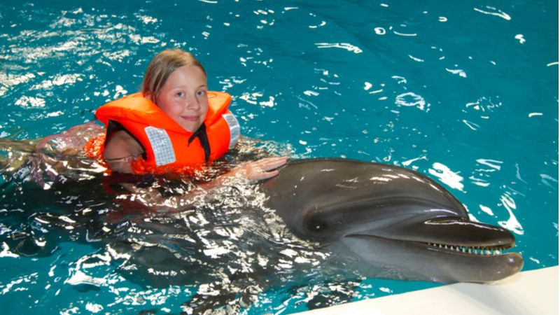 Dubai Dolphinarium 