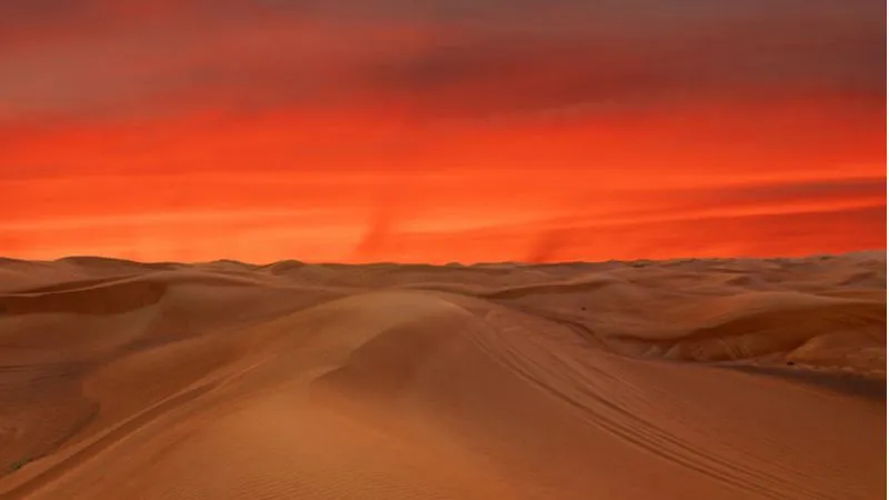 Evening Desert Safari In Qatar