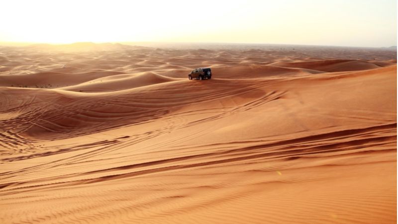 Morning Desert Safari In Al Ain