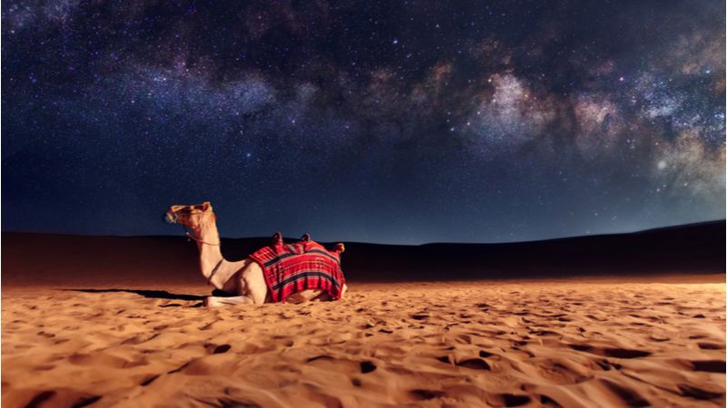 Overnight Desert Safari Sharjah