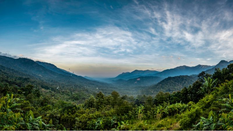 Wayanad - Known For Its Misty Valleys