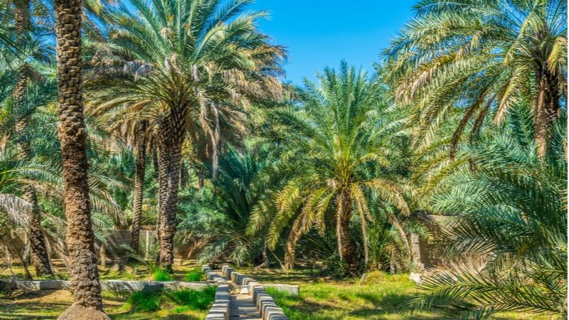 Al Ain