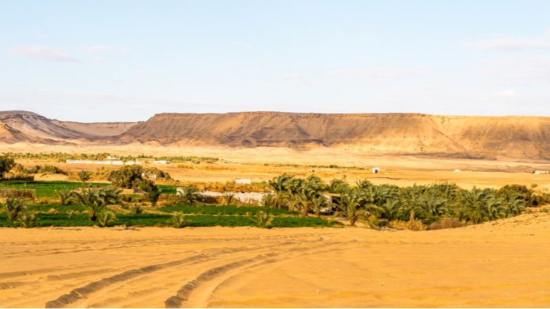 Bahariya Oasis 