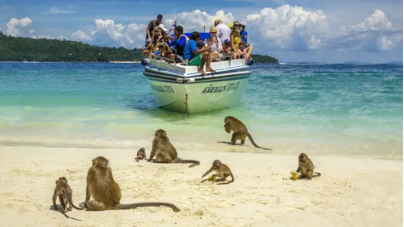 Monkey Beach, Phi Phi Islands