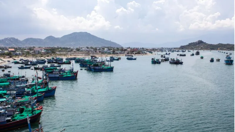 Ninh Chu Beach 